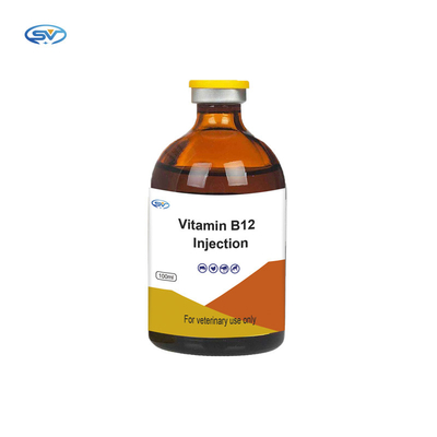 Thuốc tiêm thú y GMP Bổ sung vitamin B12 cho ngựa gia súc