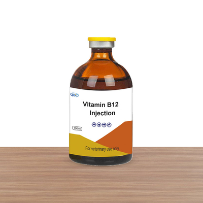 Thuốc tiêm thú y GMP Bổ sung vitamin B12 cho ngựa gia súc