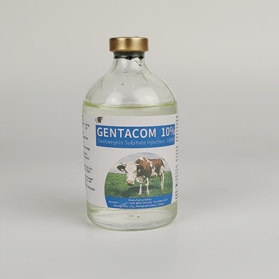 Thuốc trị ký sinh trùng thú y Giá xuất xưởng Thuốc tiêm Gentamicin Còn hàng Chất lượng Thuốc tiêm Gentamycin Sulfate 10%