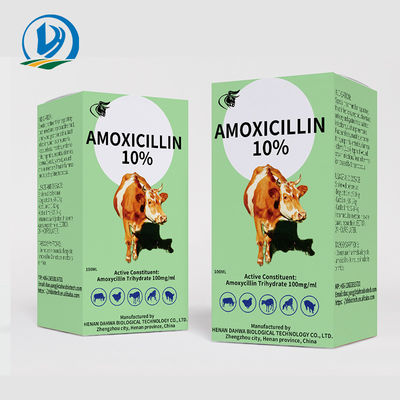 Thuốc thú y cho bê 150mg / ml 10% Amoxicillin Tiêm bắp