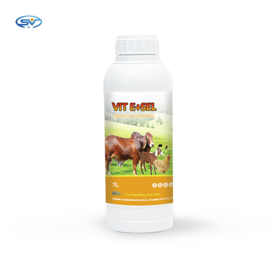 Vitamin E &amp; Selenium Dung Dịch Uống Thuốc Cho Chim Nhỏ Ngựa Mèo Và Chó 5L 1L