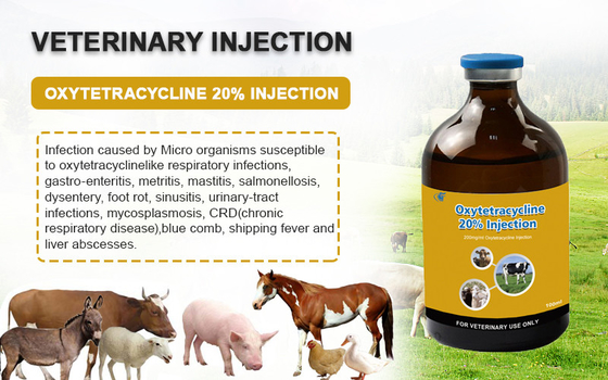 Thuốc tiêm thú y Oxytetracycline HCl 20% tiêm cho gia súc Cừu Dê Chó Thuốc thú y