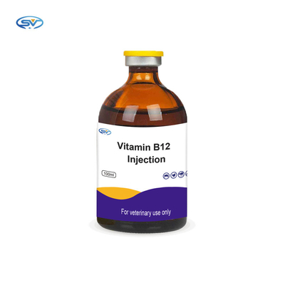 Thuốc tiêm thú y Sheep Inj Vit B12 Vitamin B12 Tiêm bổ sung Vitamin cho gia súc Ngựa