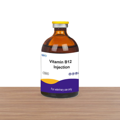 Thuốc tiêm thú y Sheep Inj Vit B12 Vitamin B12 Tiêm bổ sung Vitamin cho gia súc Ngựa