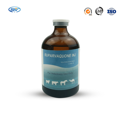 Thuốc tiêm thú y GMP Buparvaquone 50mg / Ml dành cho gia súc bê, cừu, dê, chó, mèo