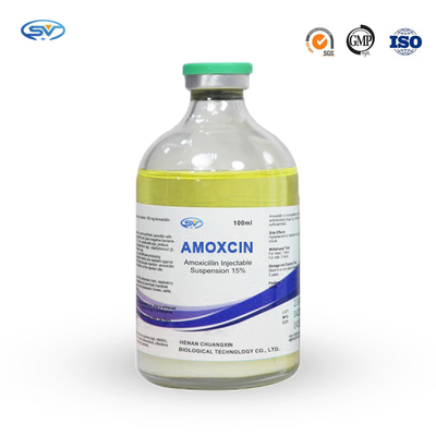 Thuốc tiêm Amoxicillin 100ml Thuốc chống ký sinh trùng thú y cho đường hô hấp gia súc