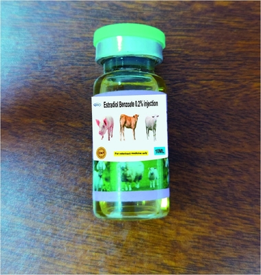 Thuốc tiêm thú y với 0,2% Estradiol Benzoate tiêm 10ml cho động vật động vật