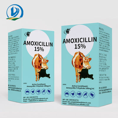 Thuốc tiêm thú y Amoxicillin Tiêm 15% 50ml 100ml cho chó Gia súc Mèo Cừu
