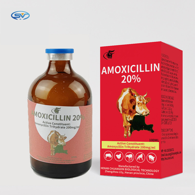 Thuốc tiêm thú y Amoxicillin 20% cung cấp thuốc tiêm từ nhà sản xuất Trung Quốc