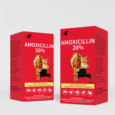 Thuốc tiêm thú y Amoxicillin 20% cung cấp thuốc tiêm từ nhà sản xuất Trung Quốc