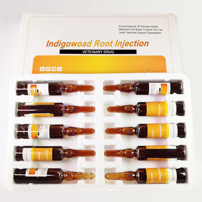 ISO9001 Banlangen Thuốc bằng sáng chế Trung Quốc Indigowoad Root Injection