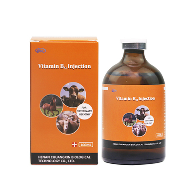 Tiêm vitamin B12 Thuốc tiêm thú y cho gia súc và gia cầm sử dụng trong trang trại