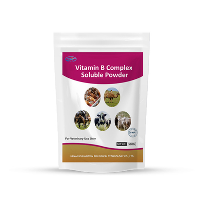 Thuốc vitamin dinh dưỡng Hỗn hợp Vitamin B dạng bột hòa tan cho động vật